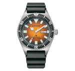 Citizen PROMASTER Mechanical Diver 200m NY0120-01Z