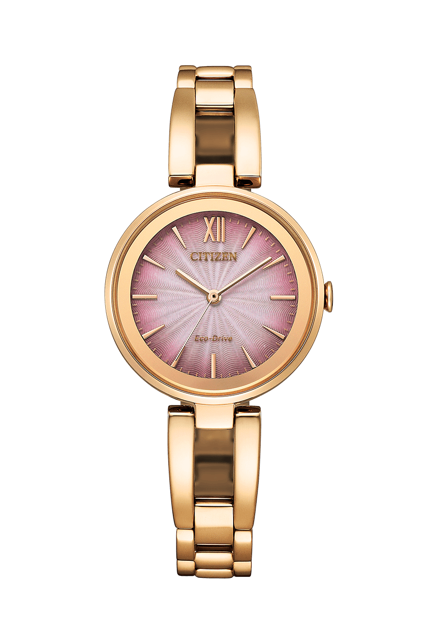 Citizen gold 2025 solar watch