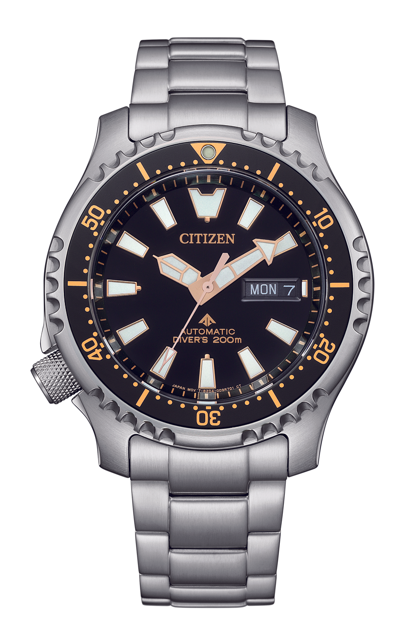 Citizen Promaster  NY0160-66E